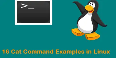 Cat-examples-in-linux