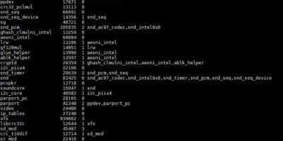 lsmod-command-output