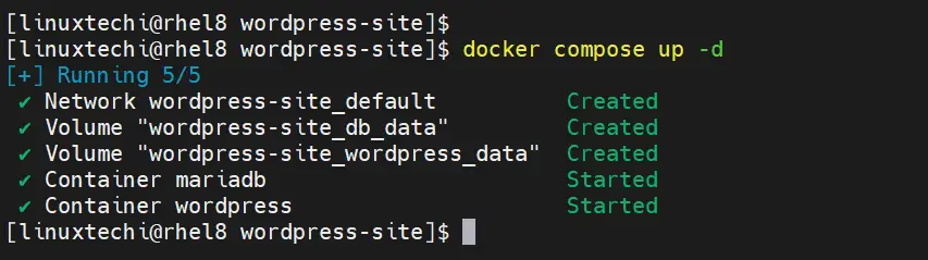 Docker Compose Up Command