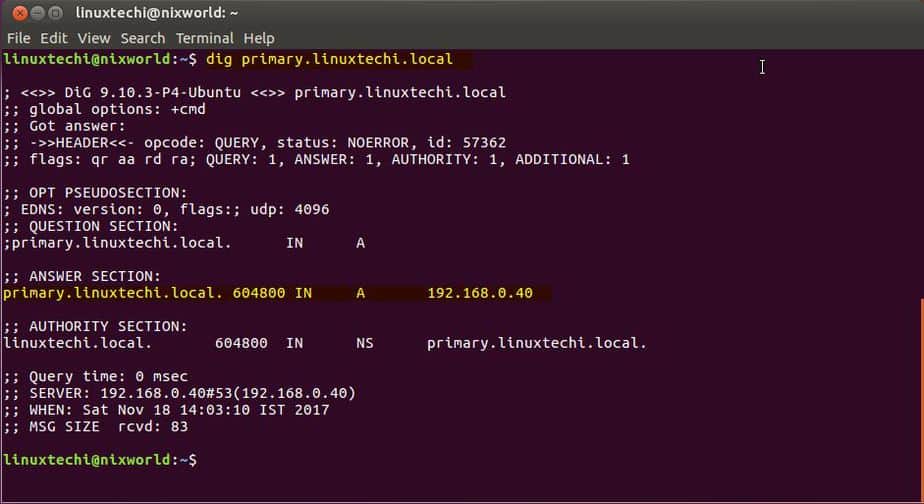 dig-command-query-ubuntu