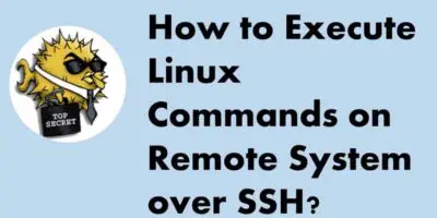 Run-Linux-Commands-Remote-systems-Over-SSH