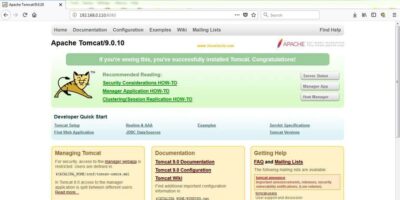 Apache-Tomcat-9-Home-Page