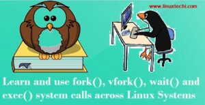 use of fork and exec system calls