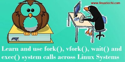 Learn-fork-vfork-wait-exit-linux-systems