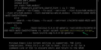 LinuxMint20-systemd-rescue