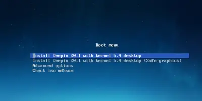 Install-Deepin-20-1-Installation-menu