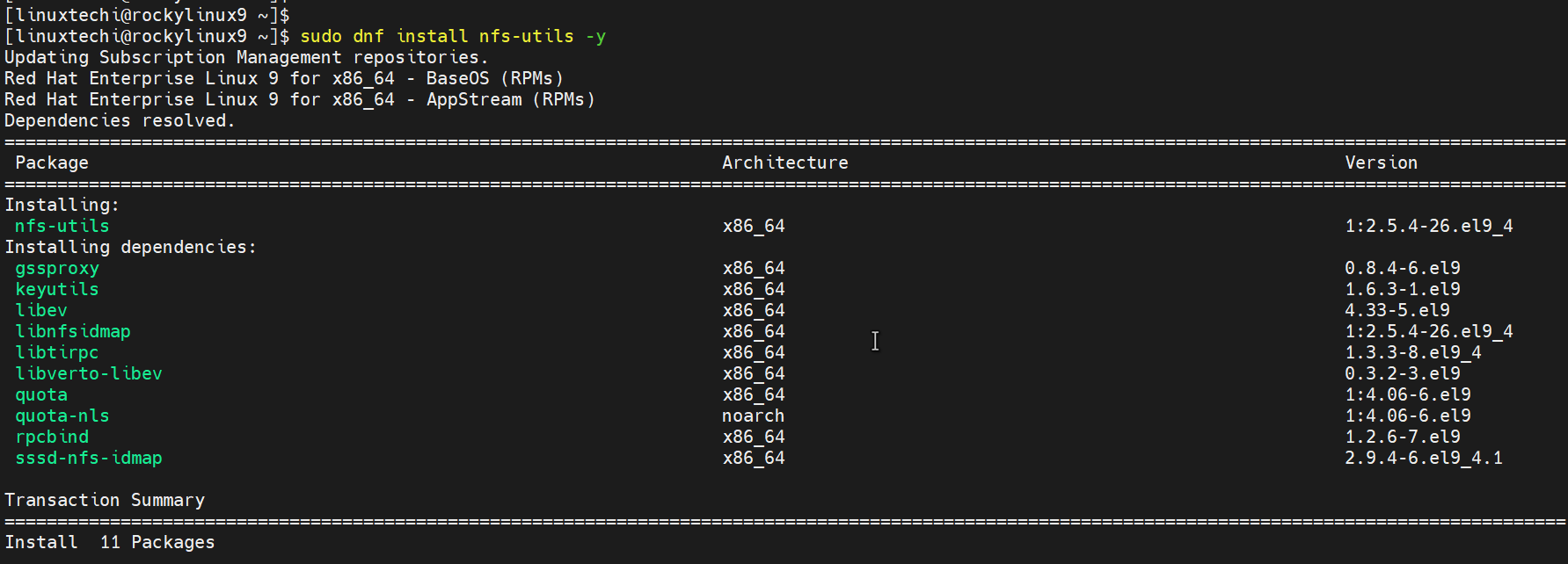 Install NFS Client On RHEL 9