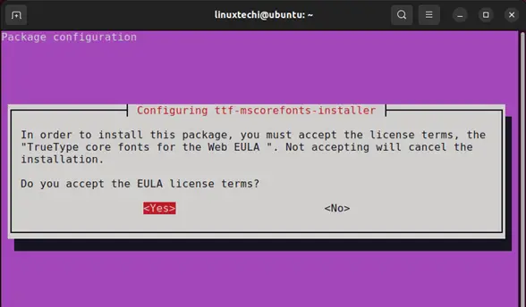 選択-はい-EULA-ライセンス-条件-Ubuntu