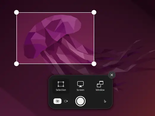スクリーンショット-tool-ubuntu-22-04