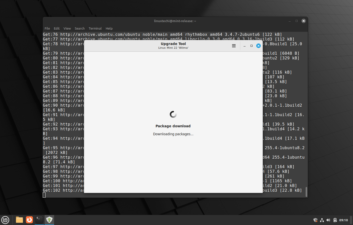 Downloading Package for Linux Mint Upgrade
