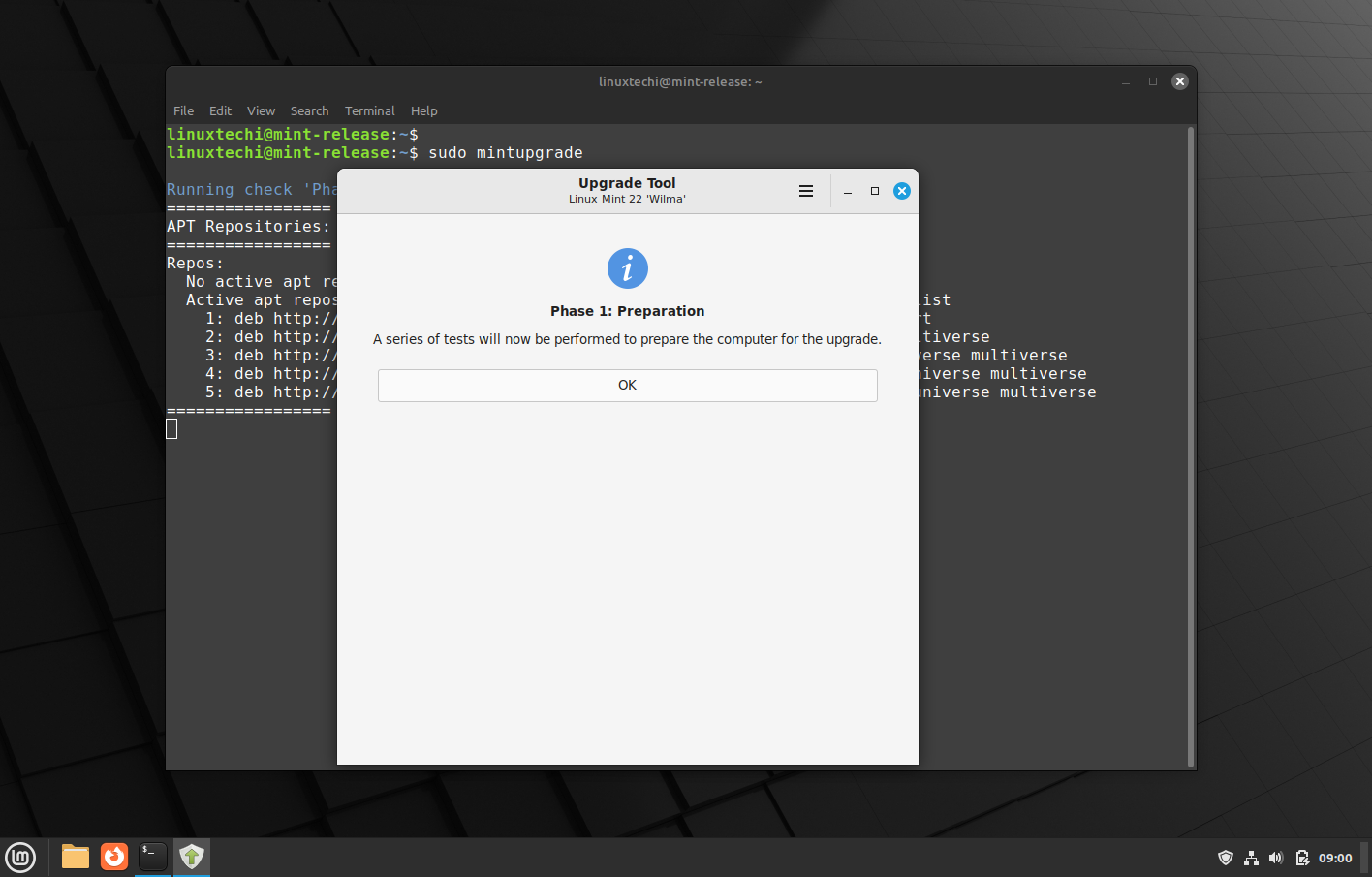 Phase1-Upgrade-Preparation-LinuxMint22