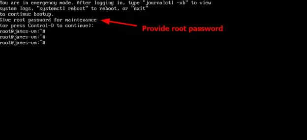 Enter-Root-Password-for-Emergency-mode-Ubuntu-24-04