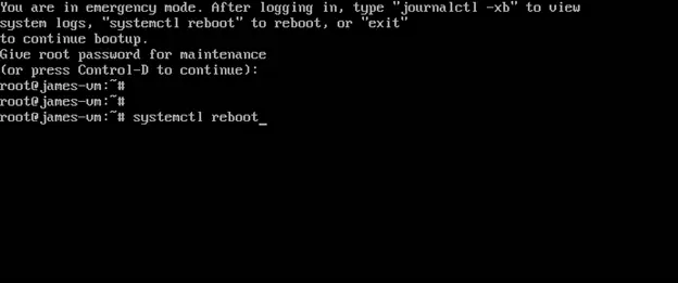 Reboot-Ubuntu-24-04-From-Emergency-Mode