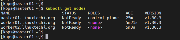 Kubectl Get Nodes After Joining Worker Nodes