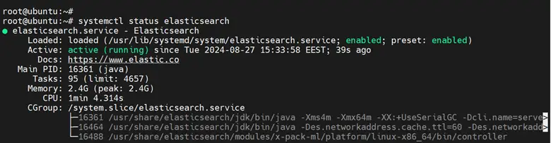 ElasticSearch Service Status Ubuntu 24.04