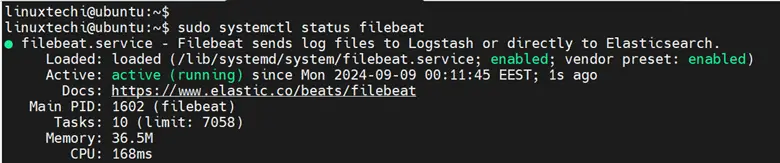 Filebeat Service Status Ubuntu