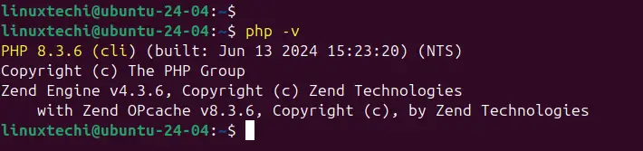 PHP Version Check Command