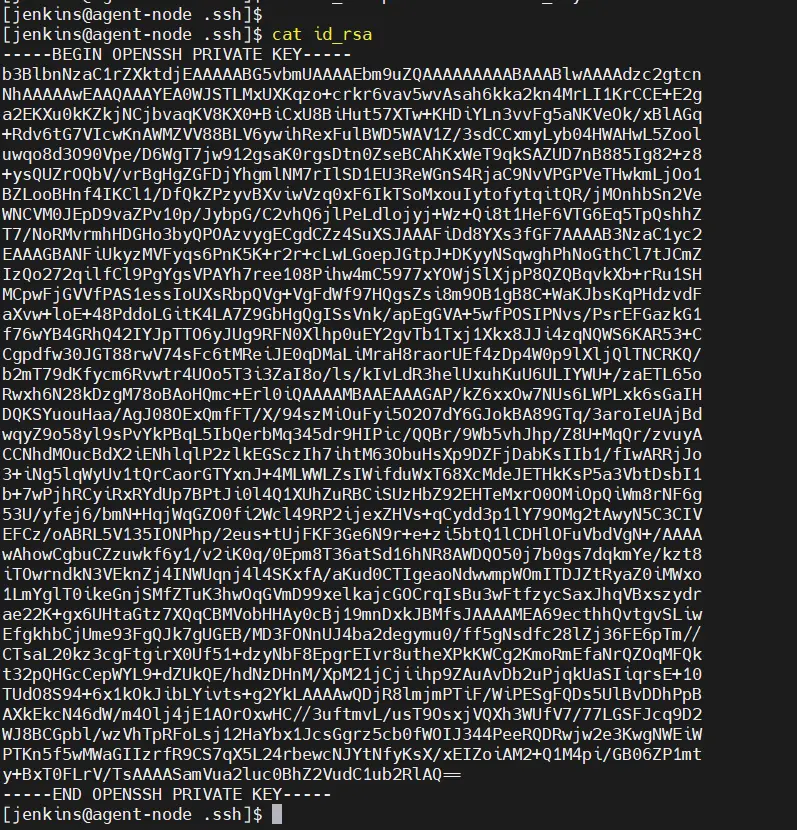 Jenkins User Private Key Agent Node